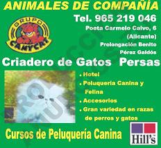 Tu Tienda de Animales en Alicante
